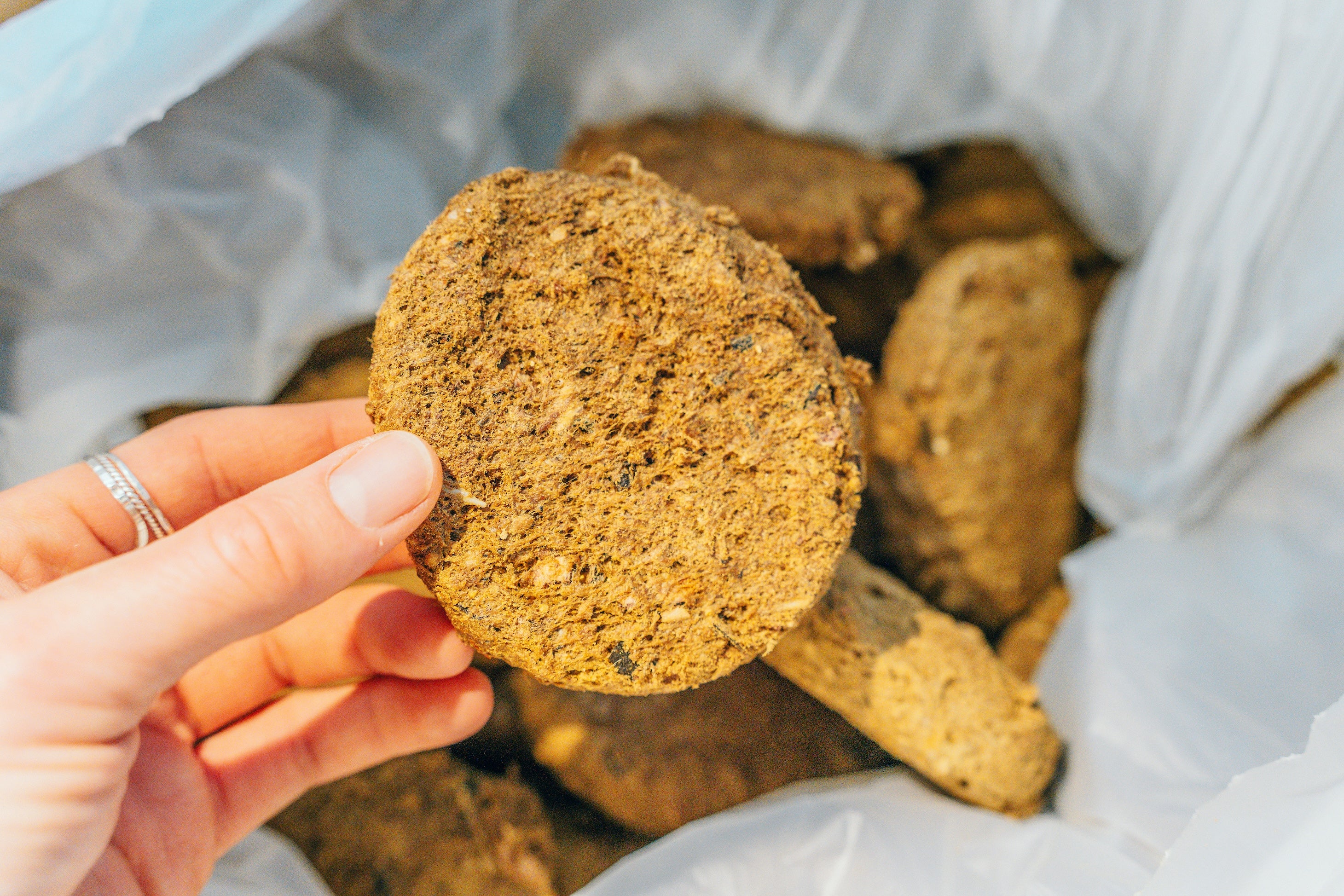 Artisan Raw GO! Sampler Box with a hand holding a freeze-dried meal, showcasing a round, brown cookie-like product.