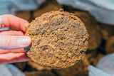 Close-up of a human hand gently holding a single, clean Artisan Raw Signature complete freeze-dried dog food puck, showcasing its rich texture and visible, high-quality, whole ingredients.